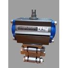 Pneumatic Actuator DOW RP-040SD 1